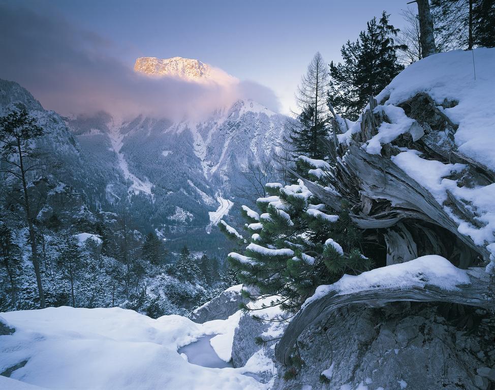 Gasthof Dorfwirt Ardning 외부 사진